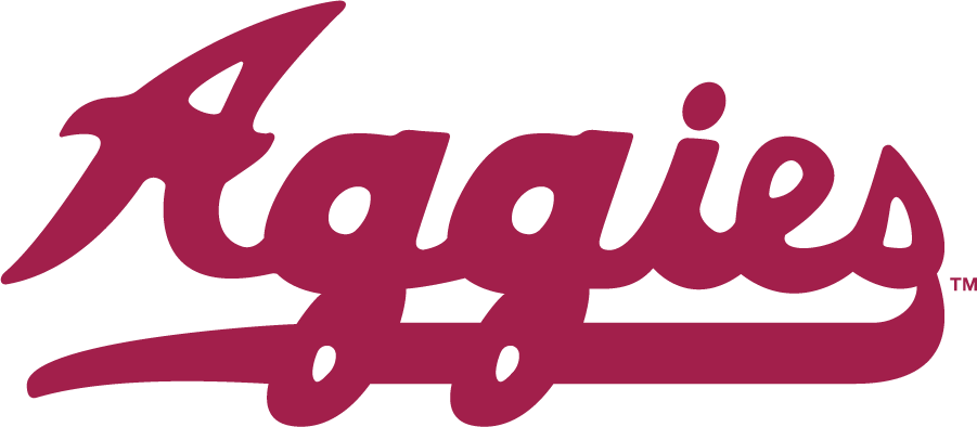 New Mexico State Aggies 1990-1995 Wordmark Logo DIY iron on transfer (heat transfer)